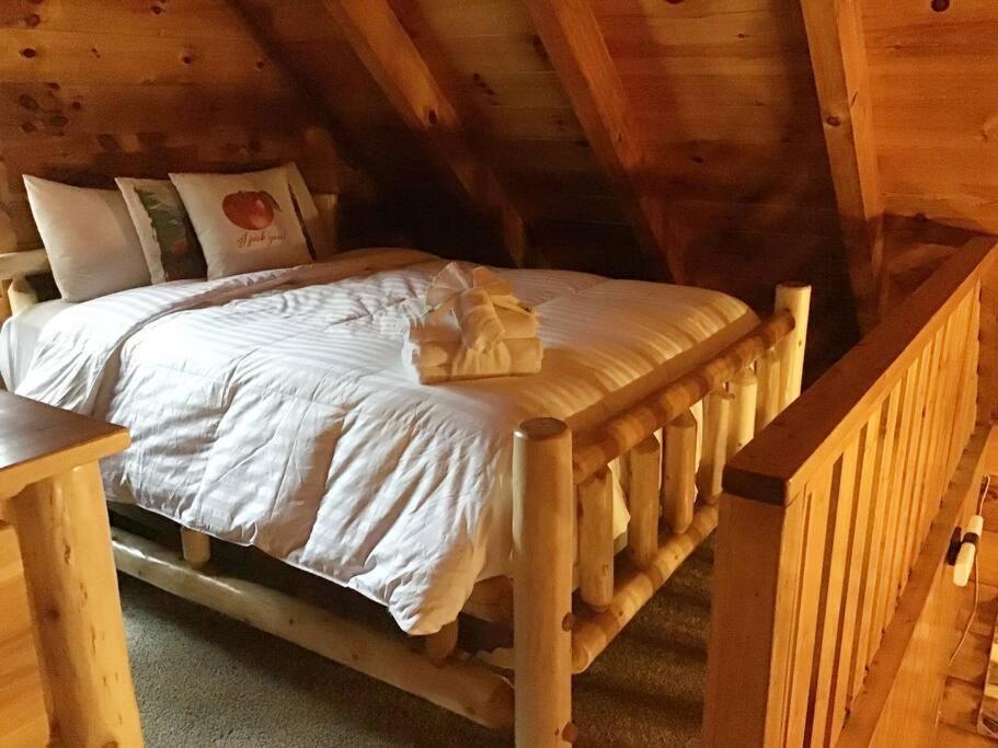 Holiday home Dollywood! Brand New Dancing Bear 3-bear Tracks Pigeon Forge