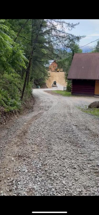 Dollywood! Brand New Dancing Bear 3-bear Tracks Pigeon Forge