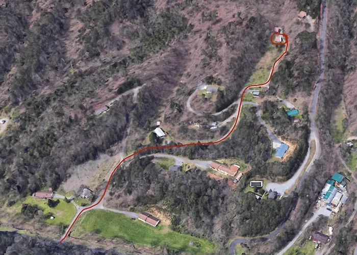 Dollywood! Brand New Dancing Bear 3-Bear Tracks