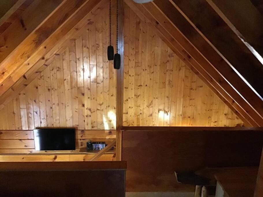 Casa vacanze Dollywood! Brand New Dancing Bear 3-bear Tracks *
