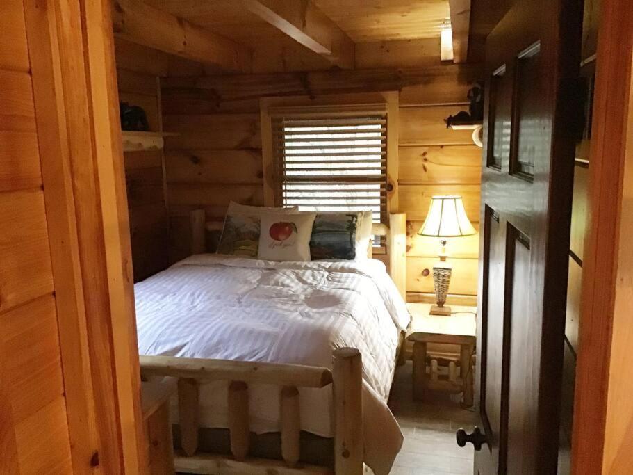 Dollywood! Brand New Dancing Bear 3-bear Tracks Casa vacanze